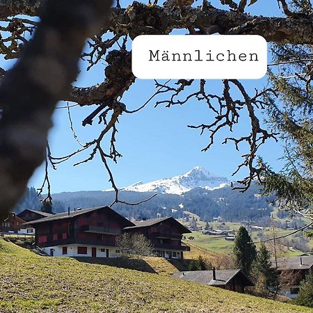 Apartment Lilalama Grindelwald Kültér fotó