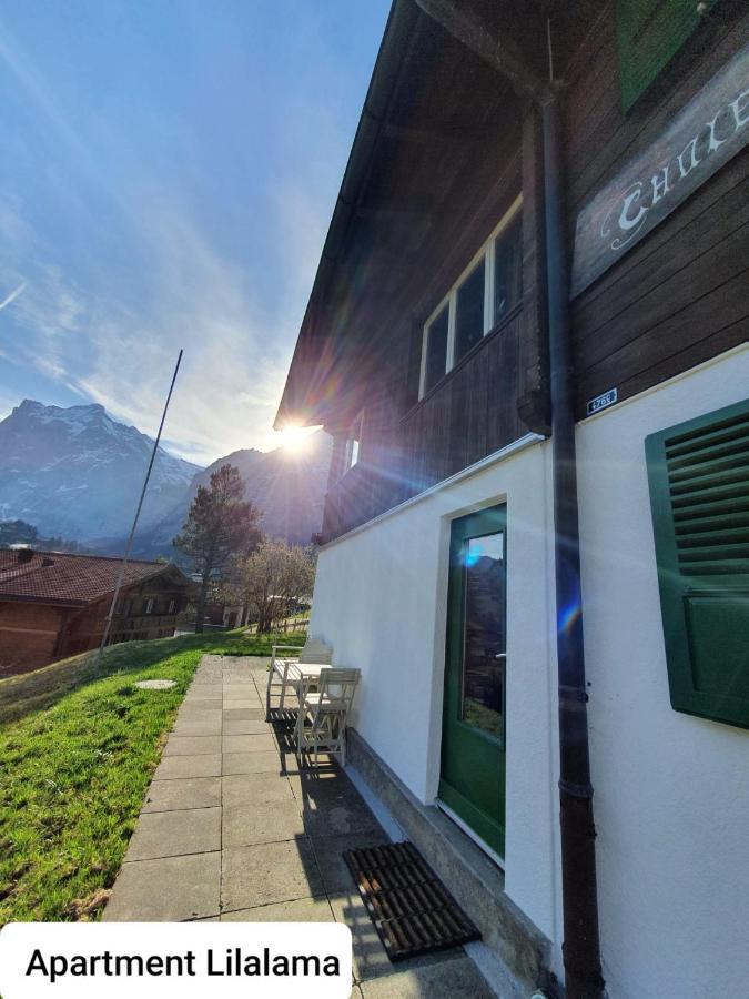 Apartment Lilalama Grindelwald Kültér fotó