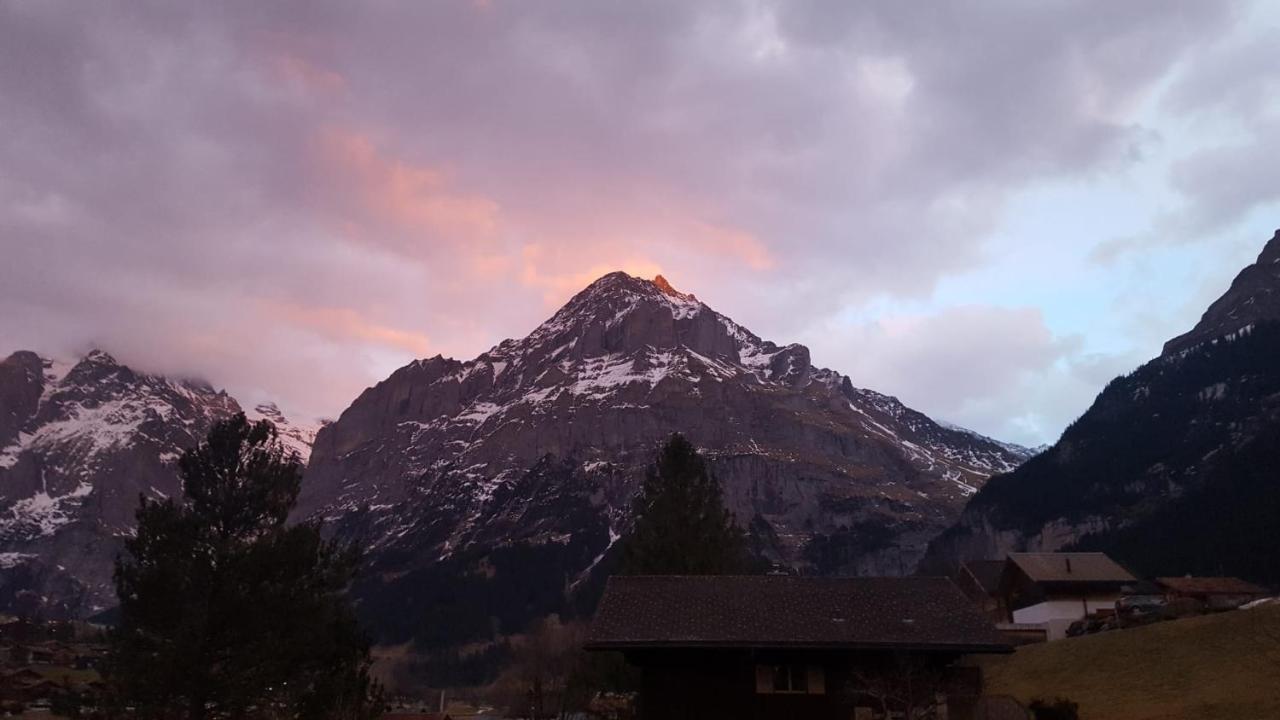 Apartment Lilalama Grindelwald Kültér fotó