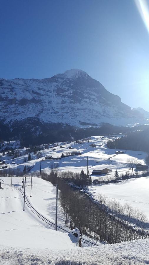 Apartment Lilalama Grindelwald Kültér fotó