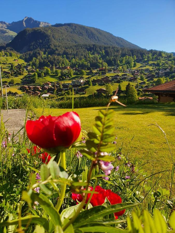 Apartment Lilalama Grindelwald Kültér fotó